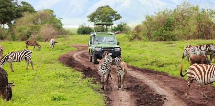 Self guided game drive safari Tanzania